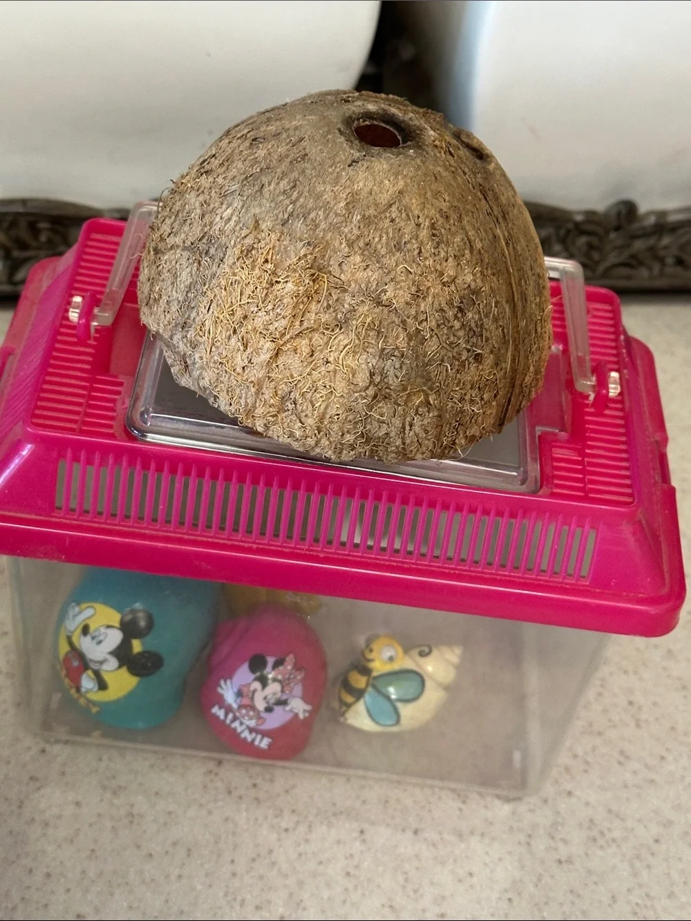 Disney Hermit Crab habitat - Blue & Pink Character Snail Shell homes